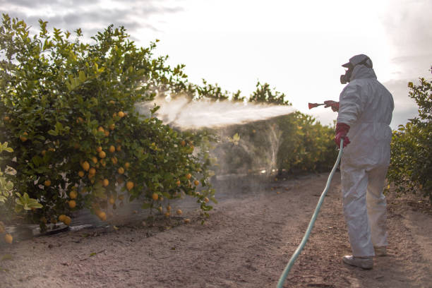 Best Pest Removal Services  in Ceresco, NE