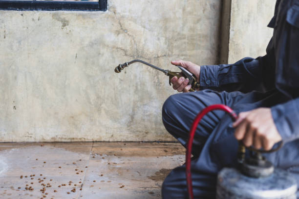 Best Wasp Removal Services  in Ceresco, NE